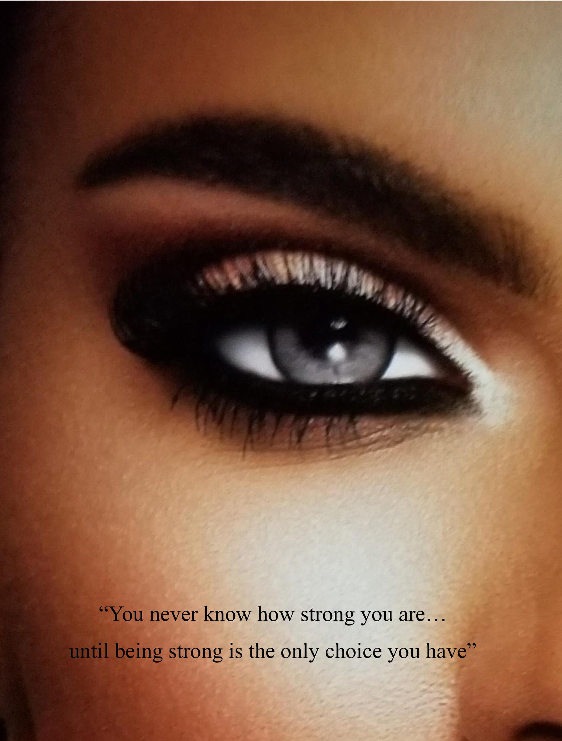 Contact information for Pro Se memoir by Dionne M. Pamon and representation inquiries